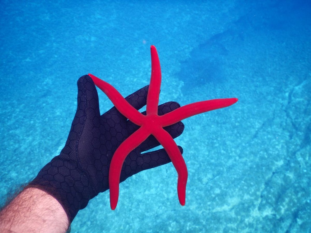 Curso de navegación en las islas del norte del Egeo