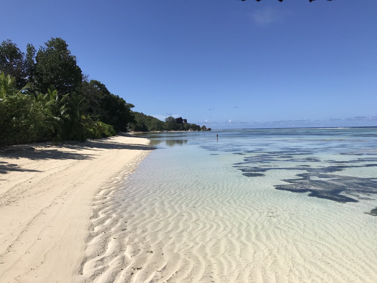 Family catamaran cruise with chef