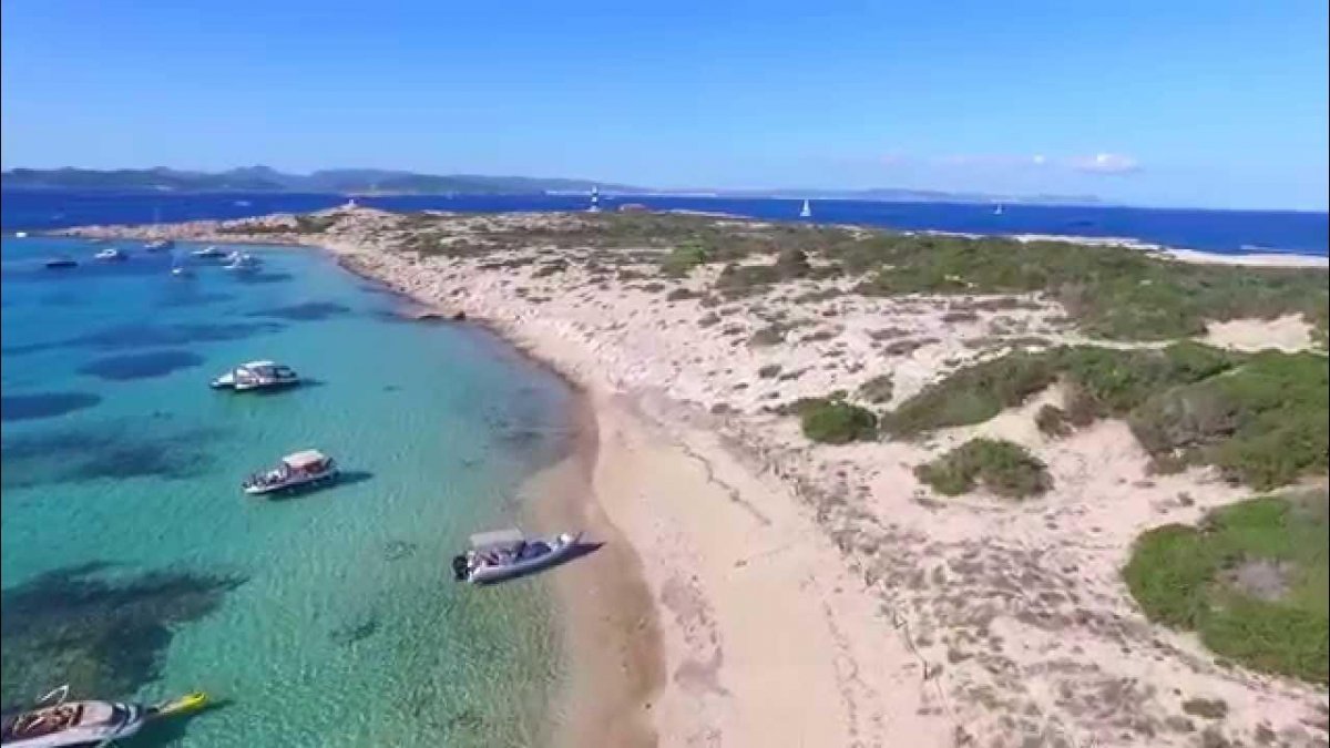 Exploring Espalmador/Sa Torreta's Underwater Beauty