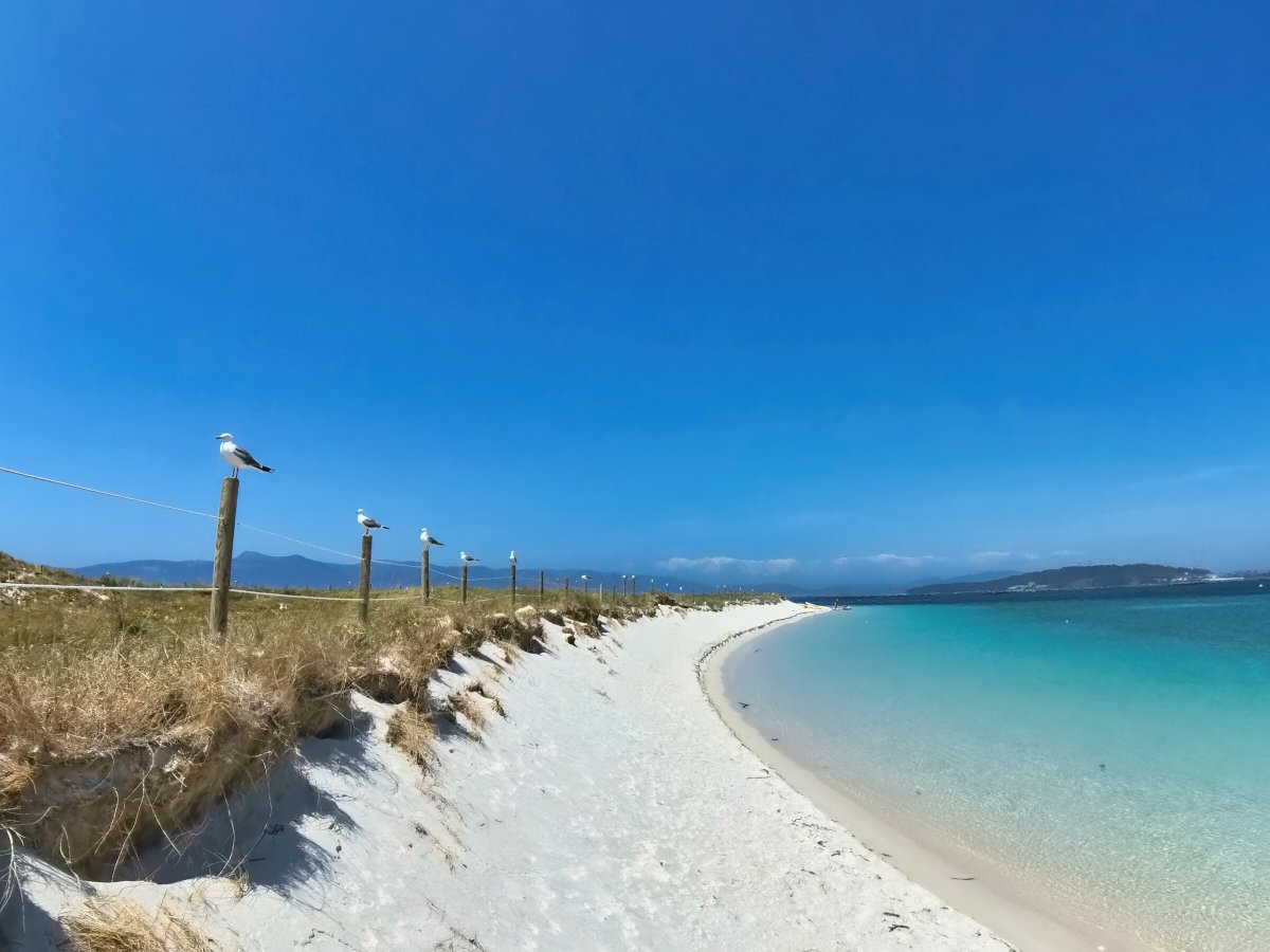 Viaggio in barca sul Camino de Santiago da Vigo