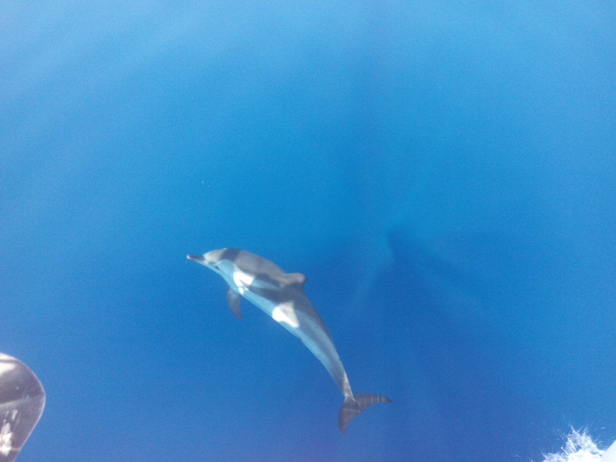 Discover the hidden coves and bays of the Cyclades