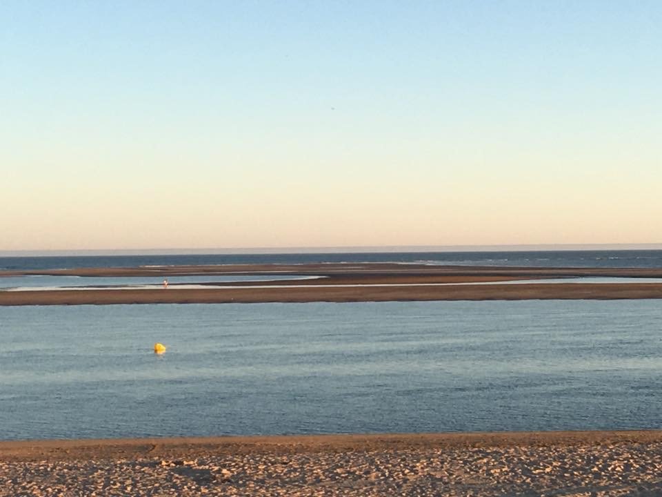 boat trips by the rompido 