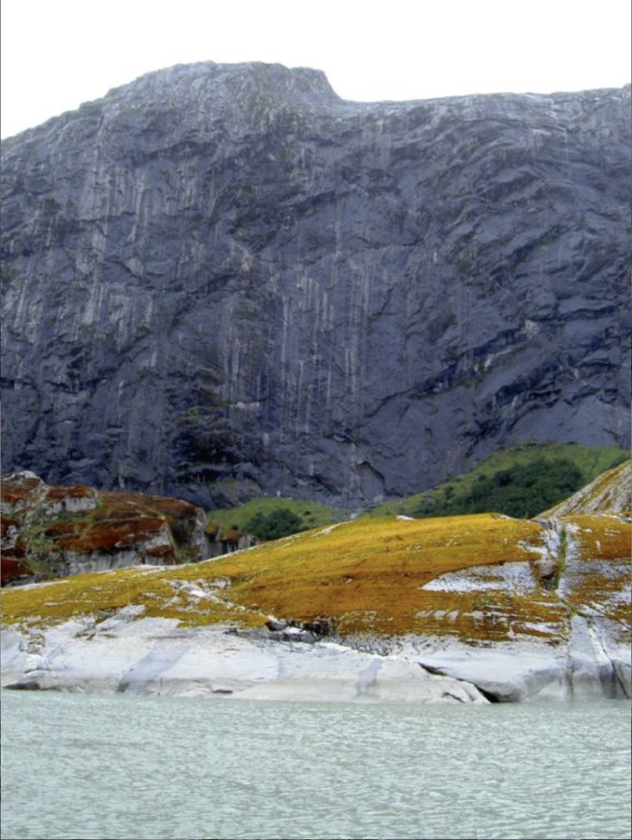 Discover Cape Horn with a luxury cruise