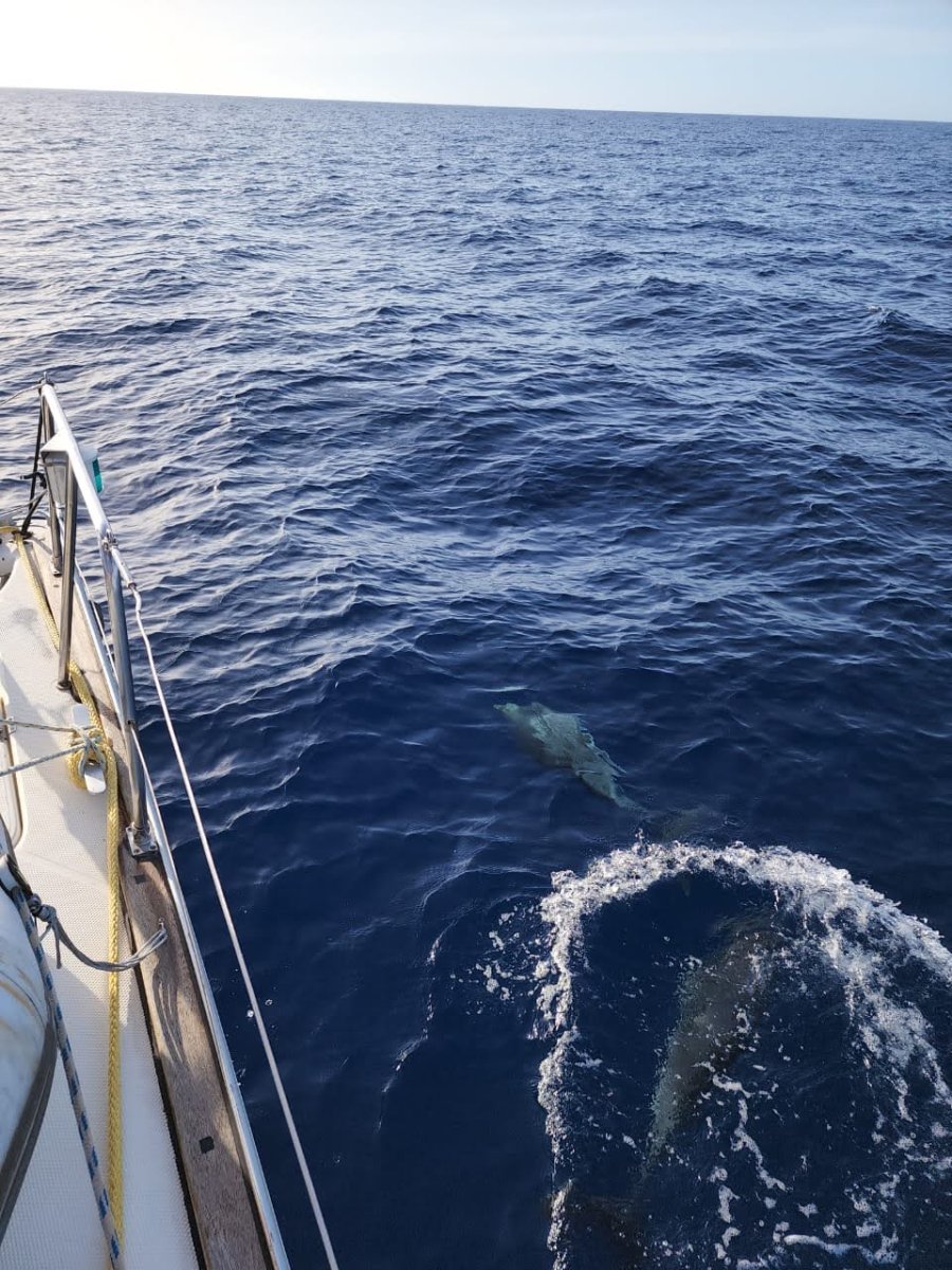Catamaran navigation on the Mediterranean Sea