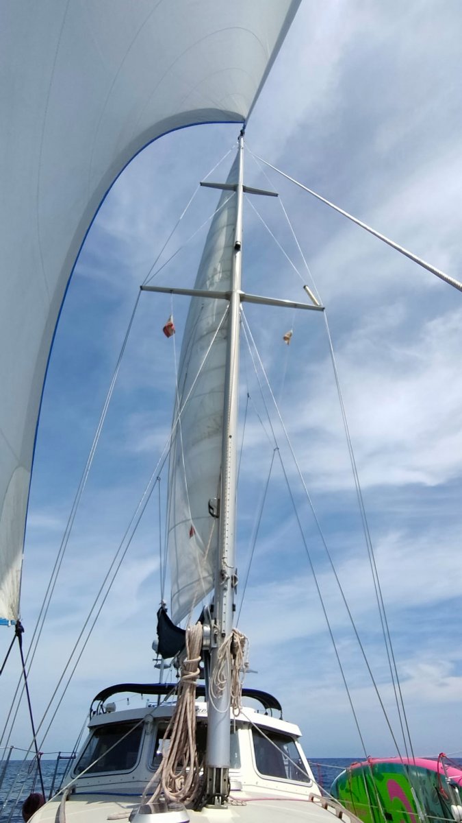 Disfruta de la vista de la costa desde el mar