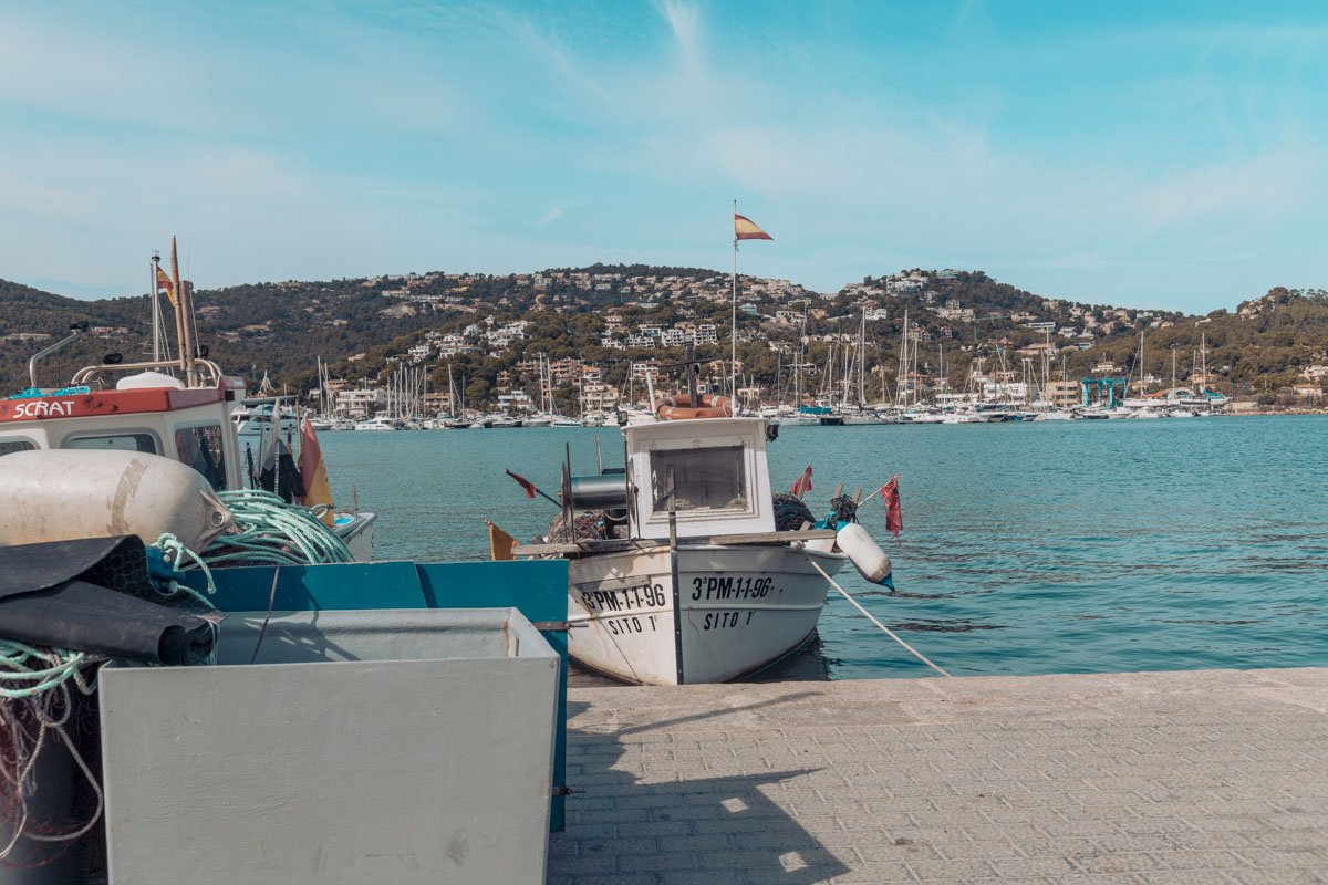 Erkunden Sie Mallorcas schönste Buchten vom Meer aus