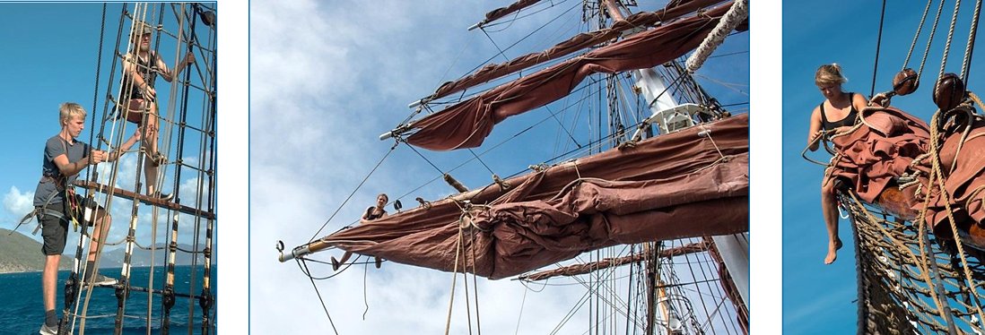 North Sea sailing trips: from the Weser estuary to the Frisian Islands