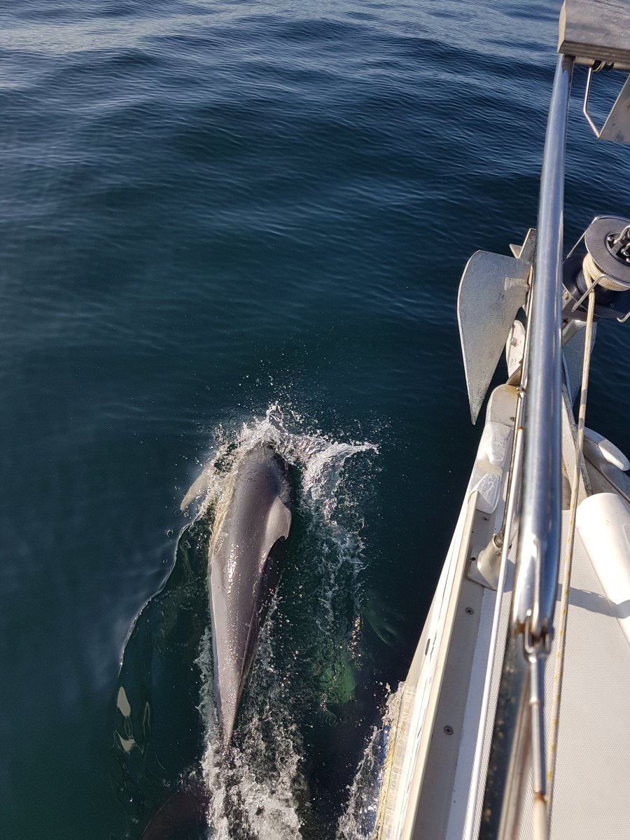 Jeanneau - 9.4 {{i18n.meters}}