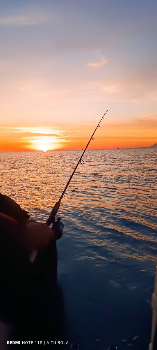 Discover Valencia's Beauty by Sea