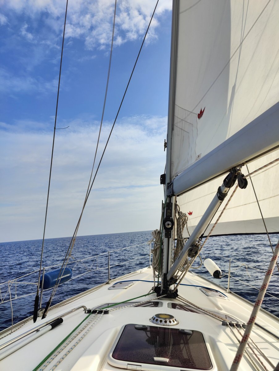 Classic sailboats participating in the race