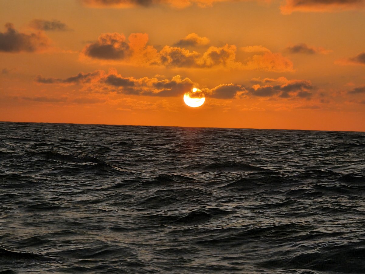 Enjoy the coastal beauty on a sailing expedition from Lagos to Porto Santo