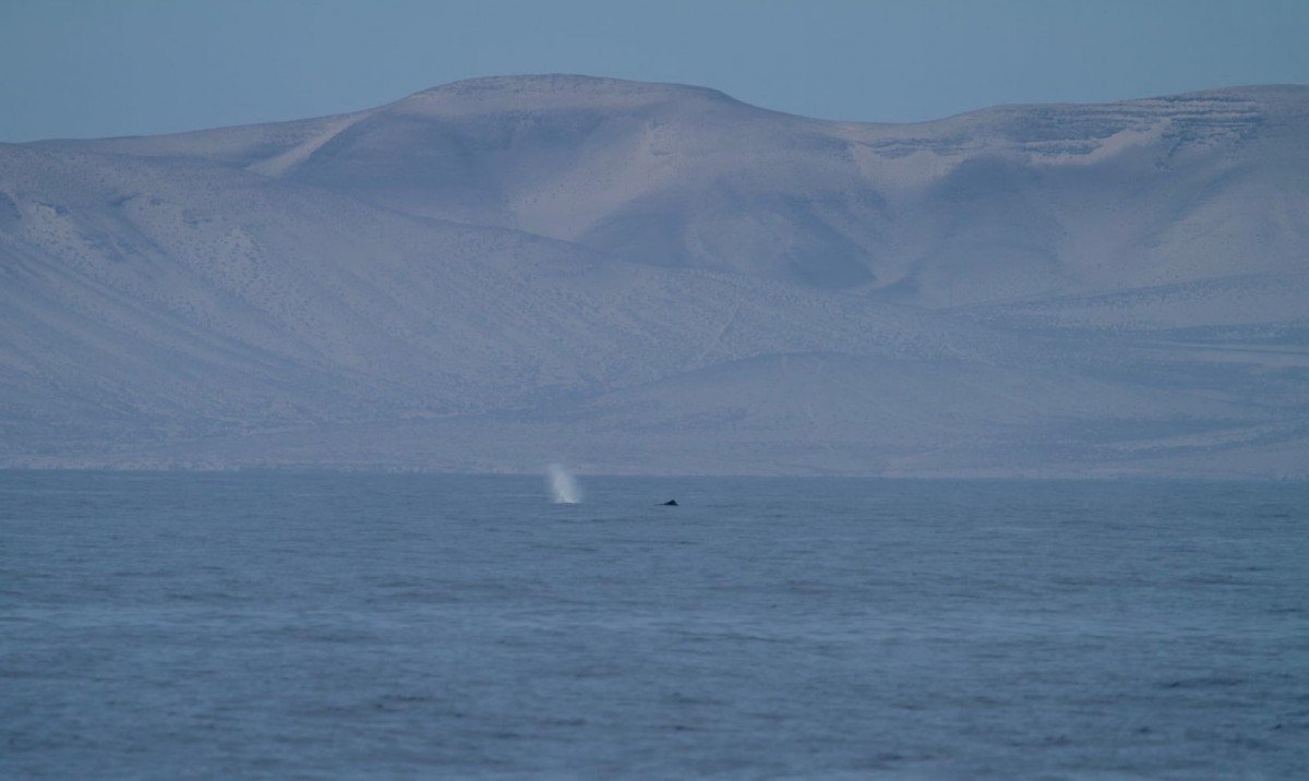Aprender a navegar en Lanzarote