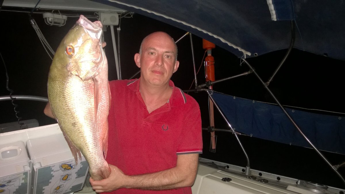 Aprende navegación: cursos especializados