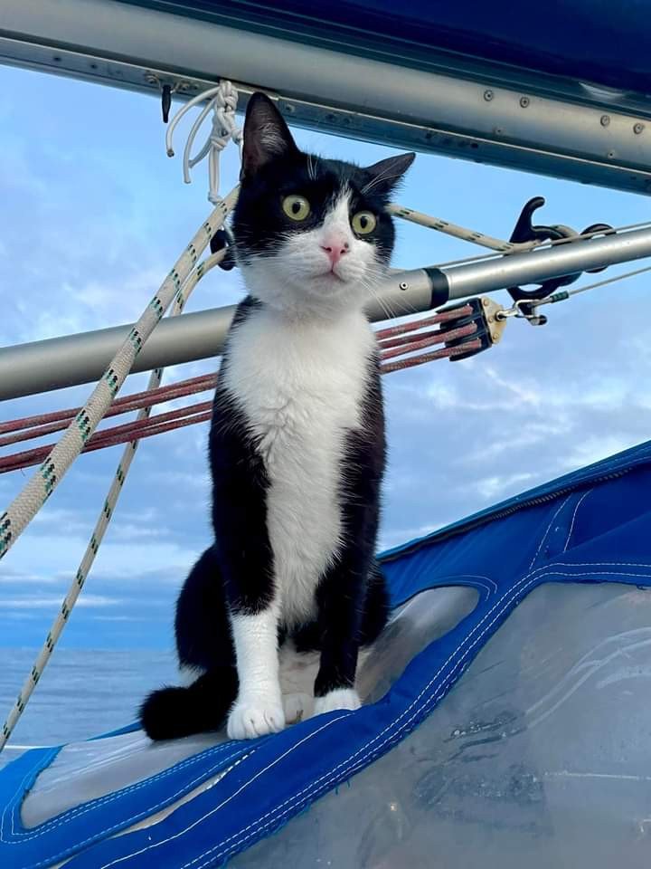 Hallberg Rassy - 6 persone