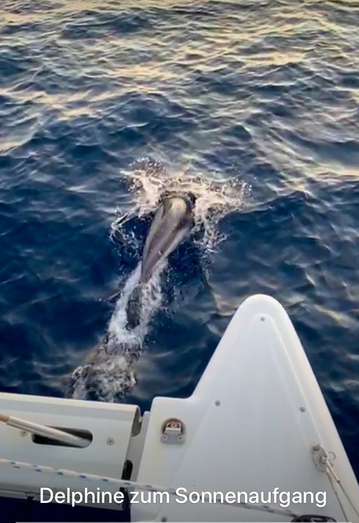 Explore the Atlantic: Tenerife to Cape Verde Islands