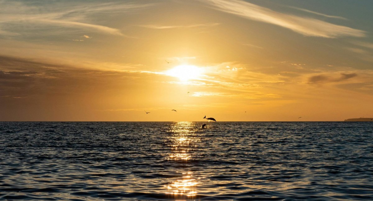 Gite in barca nel Mediterraneo
