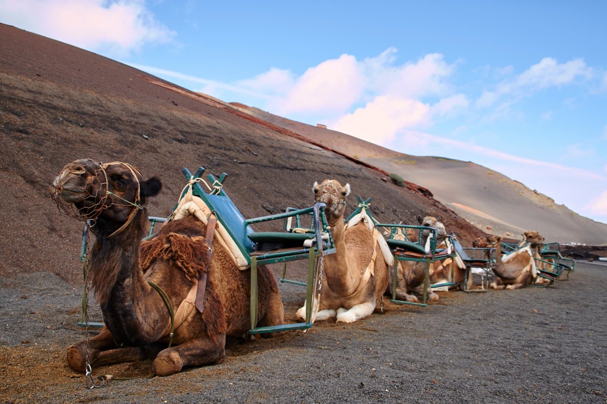 Viaggio in barca attraverso la Macaronesia - Fase 1: da Baiona a Madeira