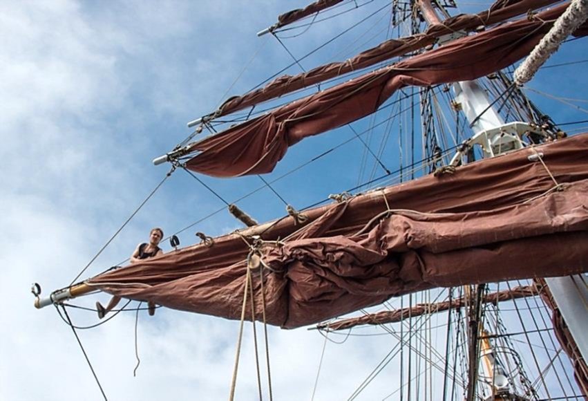 Recorrido en barco en primavera: IJsselmeer, Mar de Wadden y Bight alemán