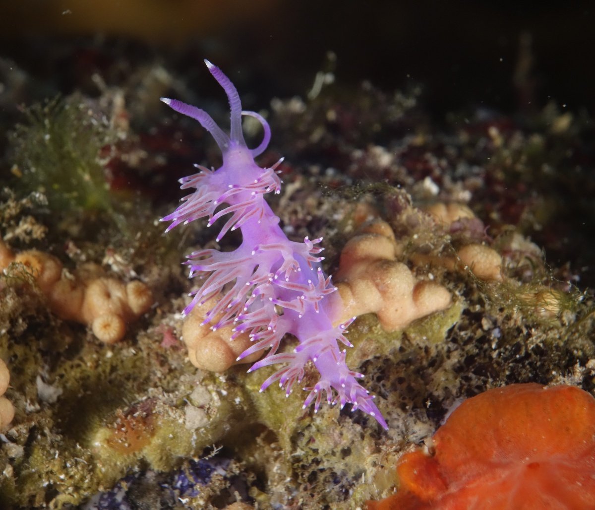 Enjoy local food and wine