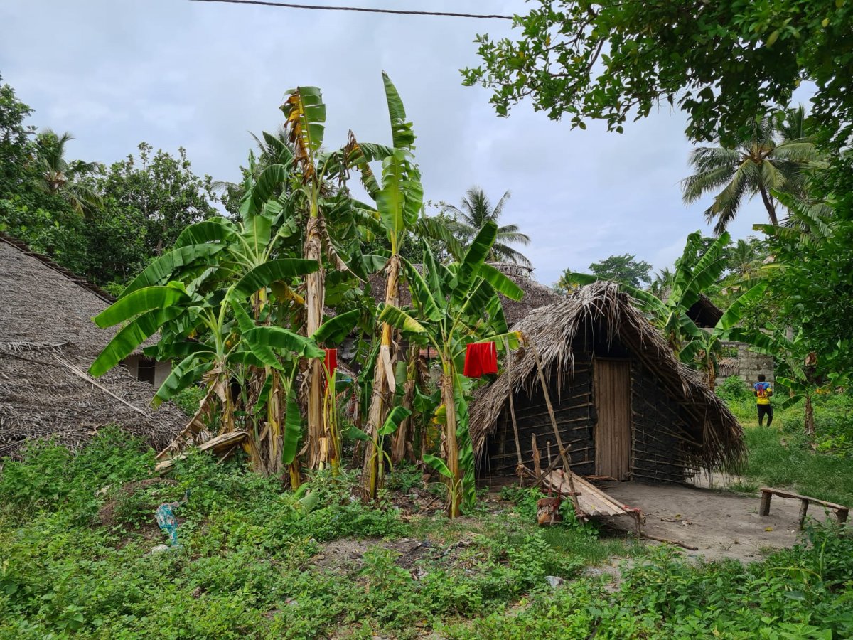 Crociera in catamarano attorno alle isole di Zanzibar e Pemba