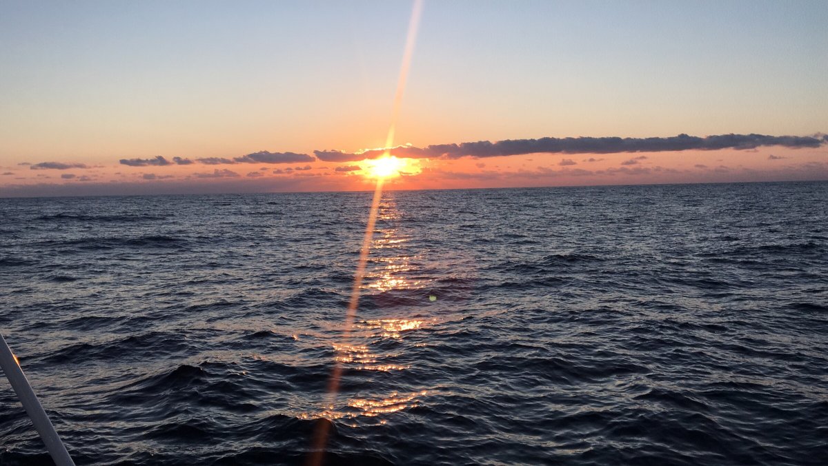 Entdecken Sie den Atlantik auf einem Boot