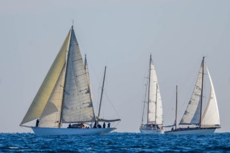 Participa en una regata de veleros clásicos en Barcelona