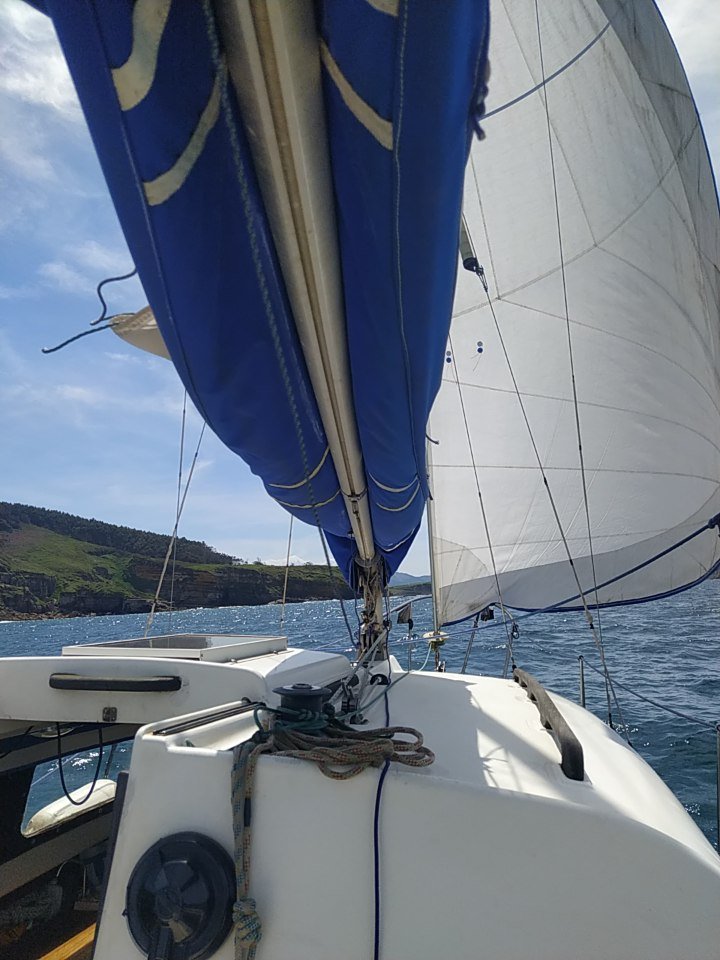 Explora la belleza de la bahía de Santander en barco