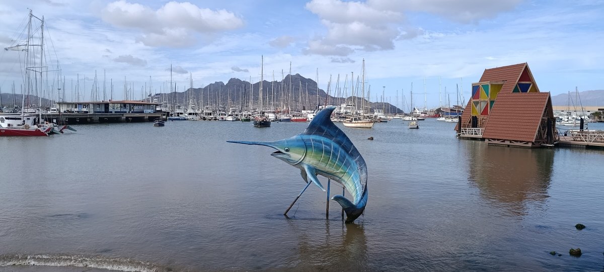 Expedición marina desde Canarias al Caribe.
