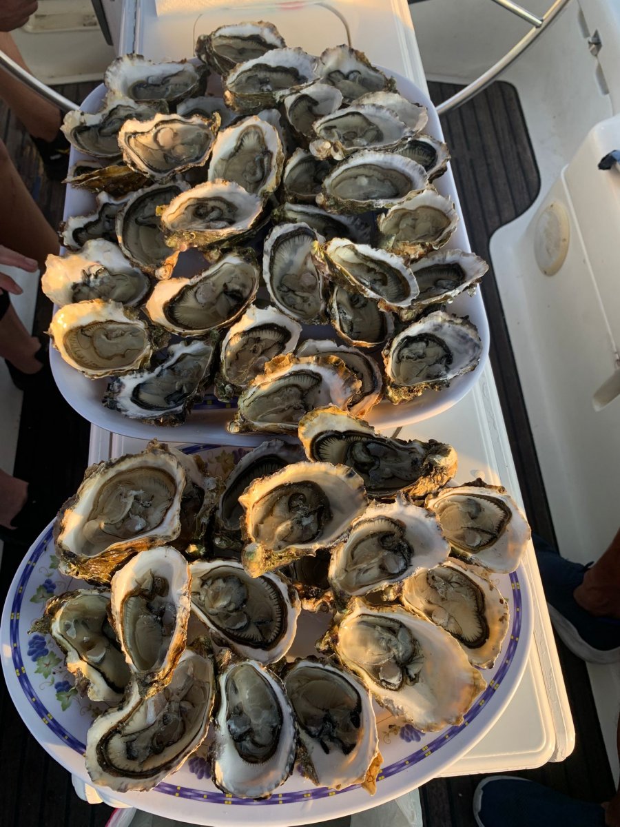 Sailing trip through southern France from Barcelona