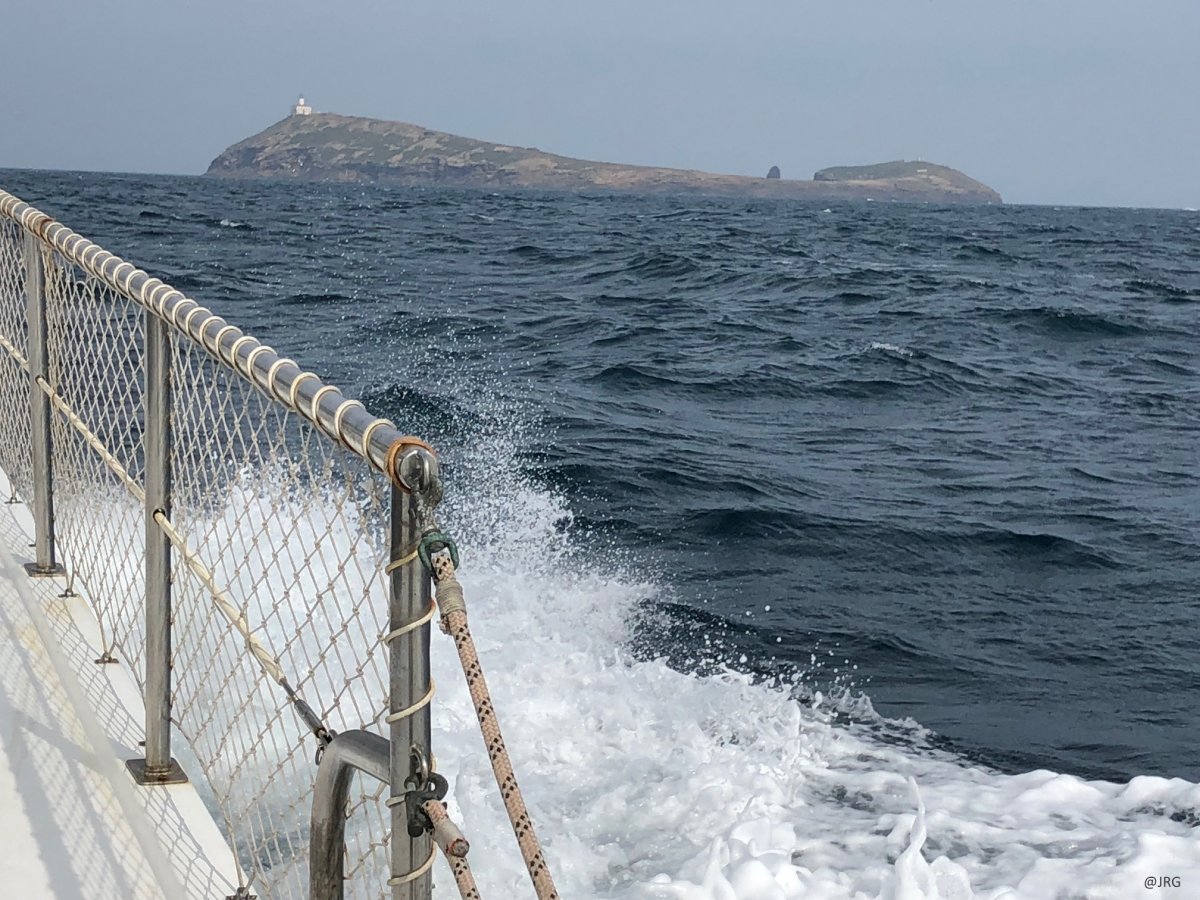 Basic sailing course for beginners at PNB Valencia