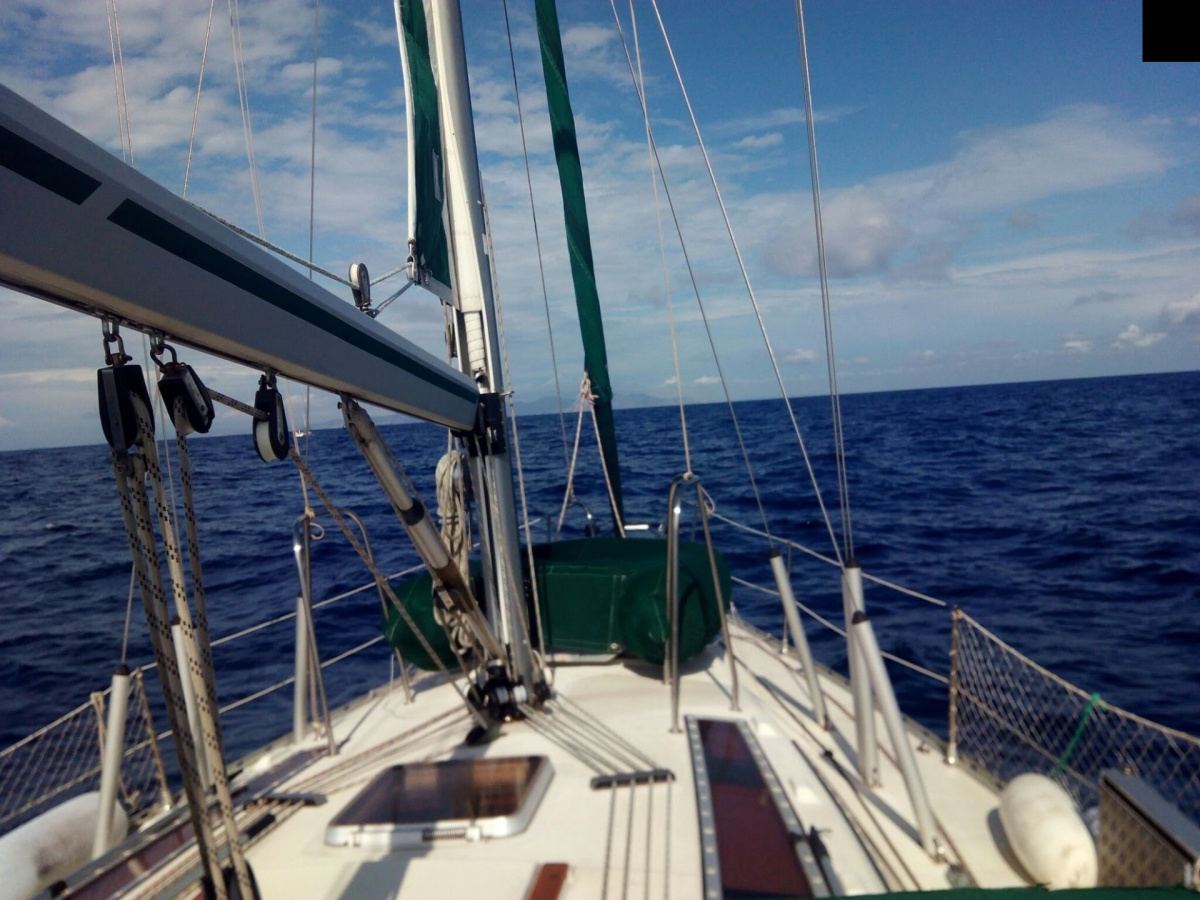 c41pvik5gdrqsy84r7jkmomwuvd13e51-big