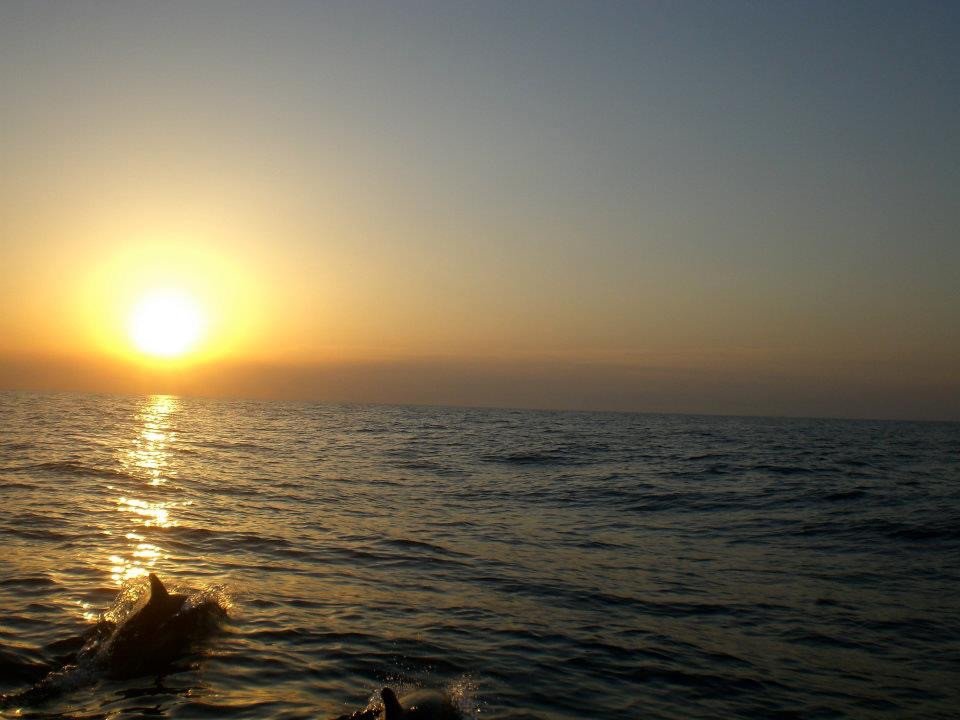 Viaje en catamarán a Mallorca durante Semana Santa