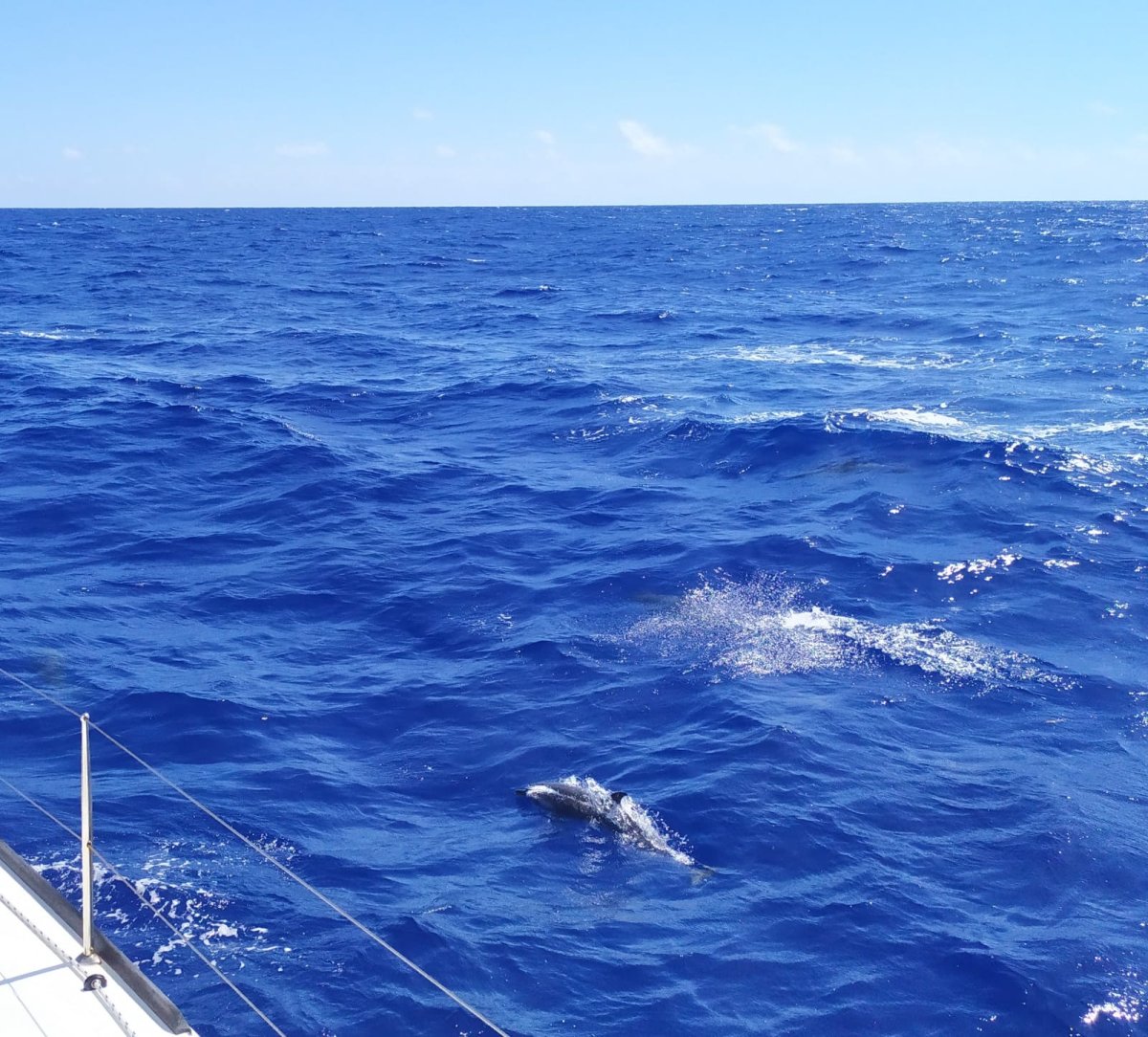 Viaje en barco por el Atlántico: Tenerife a las islas Cabo Verde