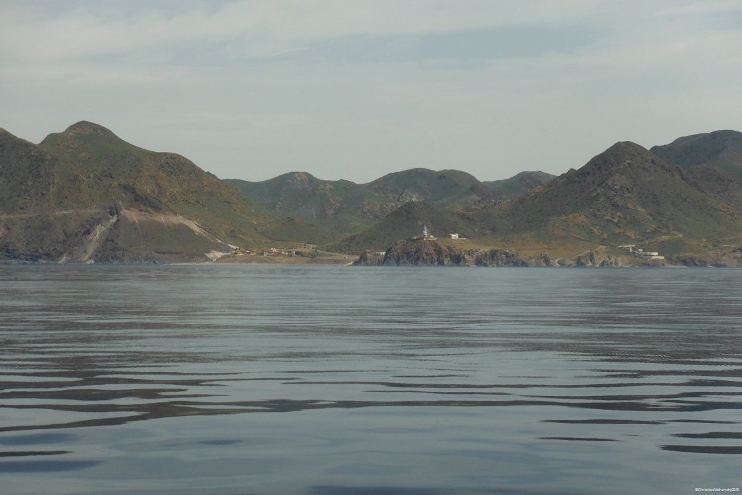 Offshore-Segelkurs: 8 Tage mit Delfinen!