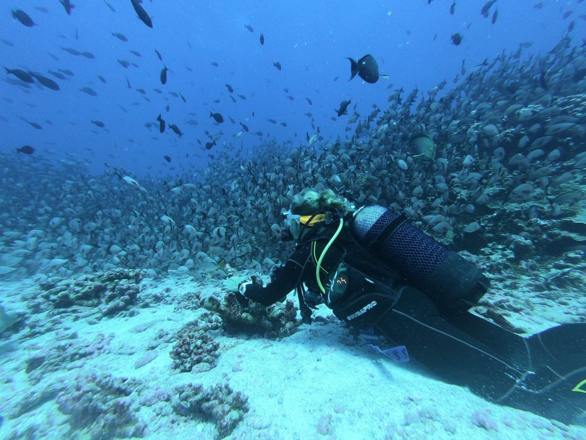 Godersi la bellezza del mare in un giorno in barca a vela