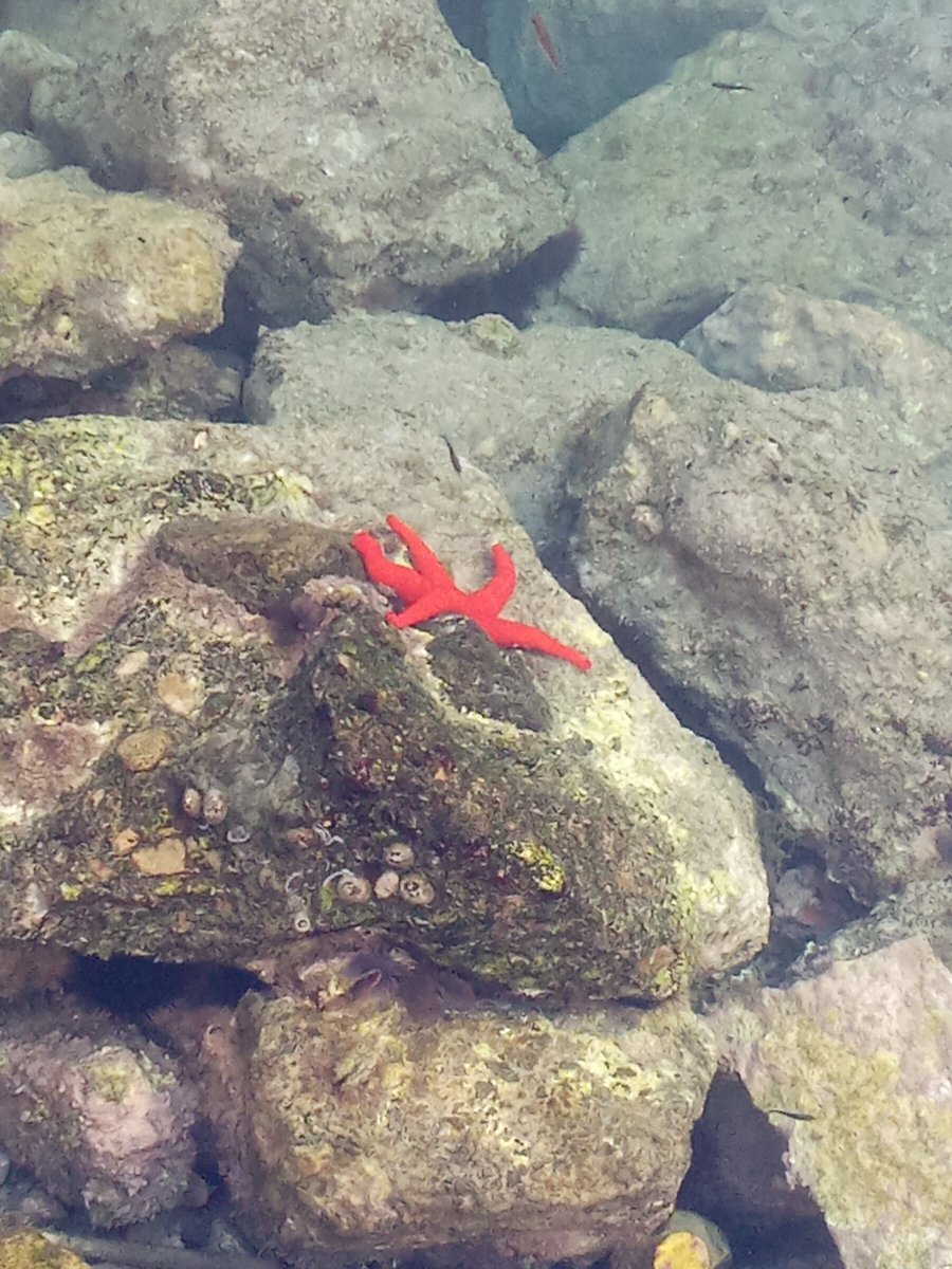 Entdecken Sie versteckte Buchten und Strände in Cabo de Gata