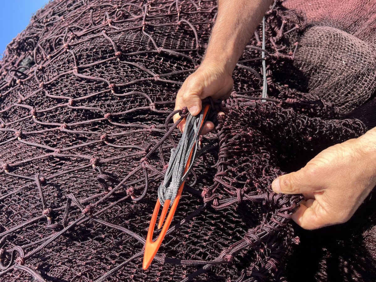 Sailboat Cruise along the Basque Coast
