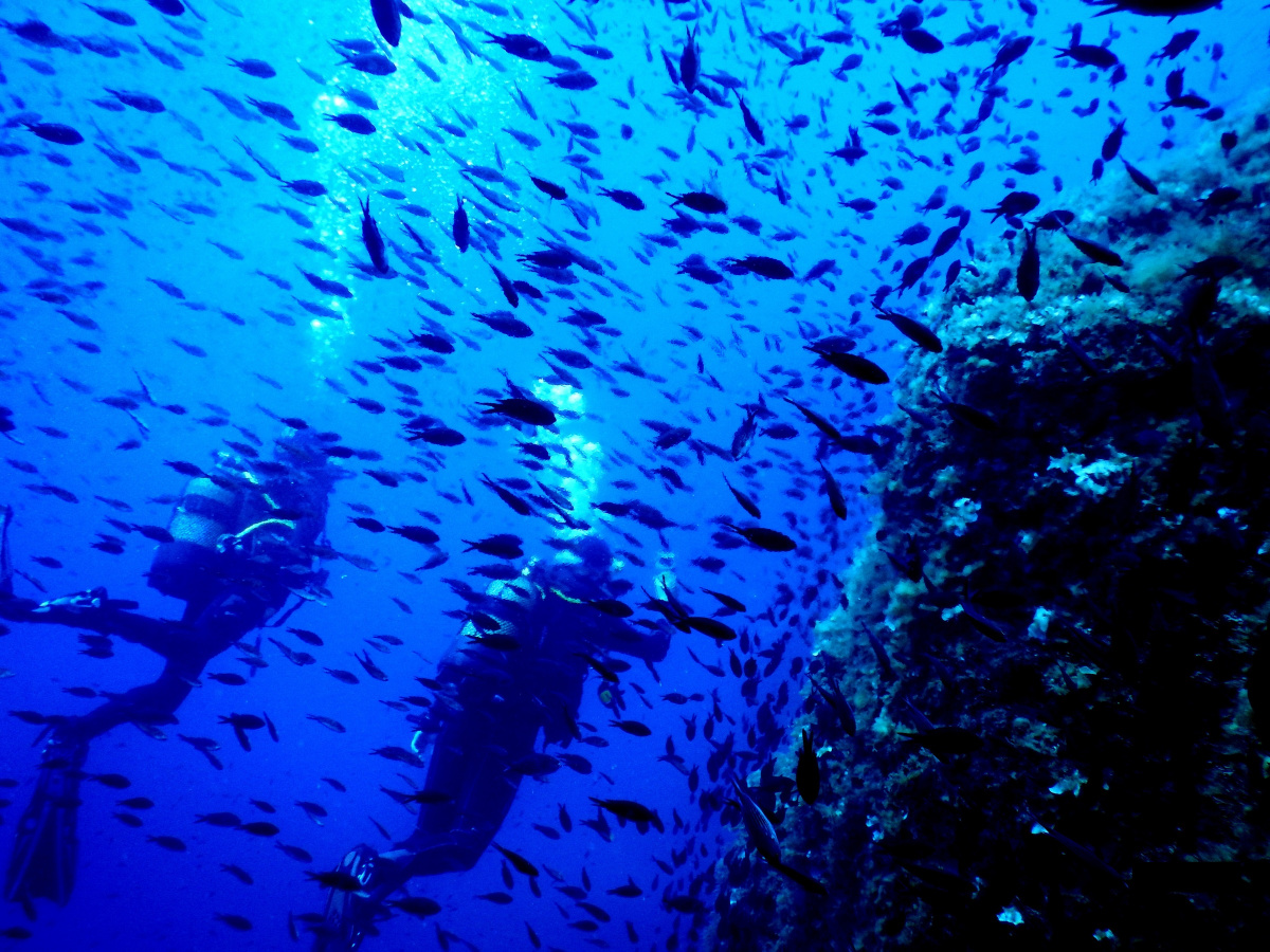 vida-a-bordo-buceo-baleares