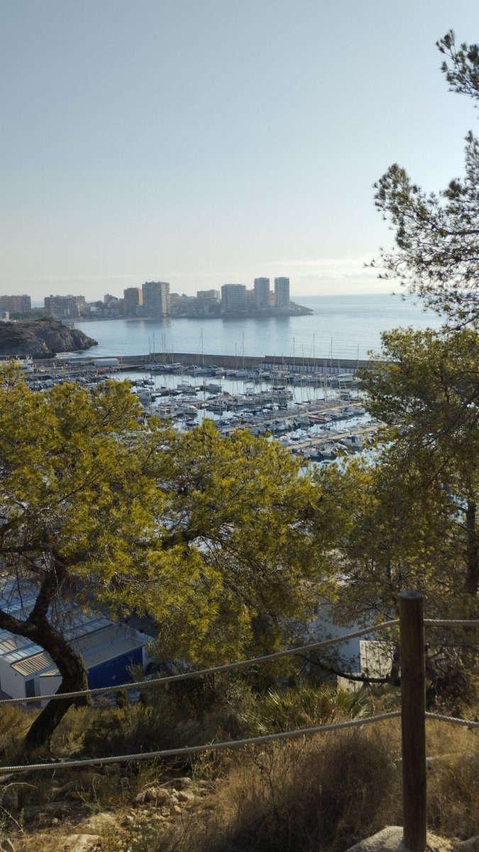 Aventura en mar abierto con prácticas de vela