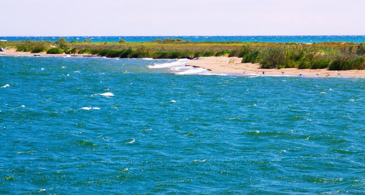 navega-4-dias-delta-ebro