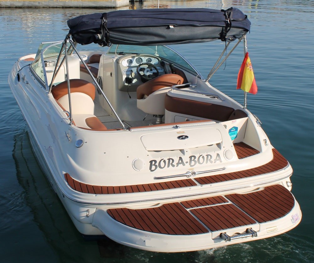 Sea Ray - 11 persone