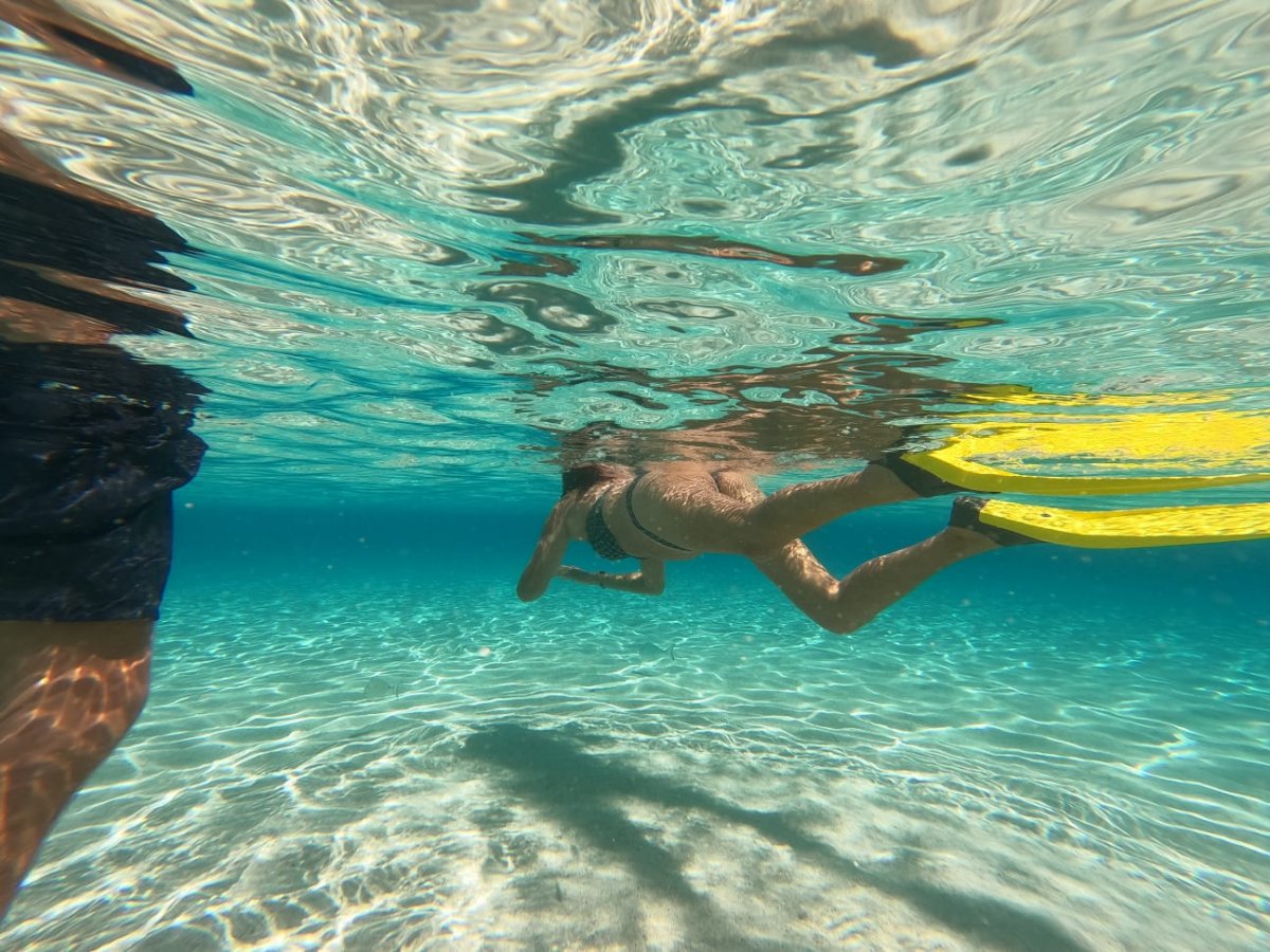 Segelboote im Asinara-Park