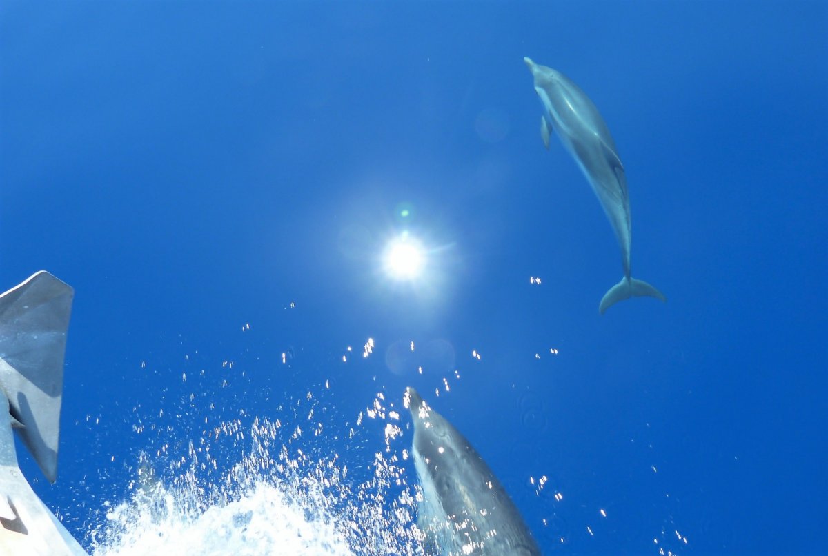 Erforschen Sie die griechischen Häfen mit einer Segelkreuzfahrt