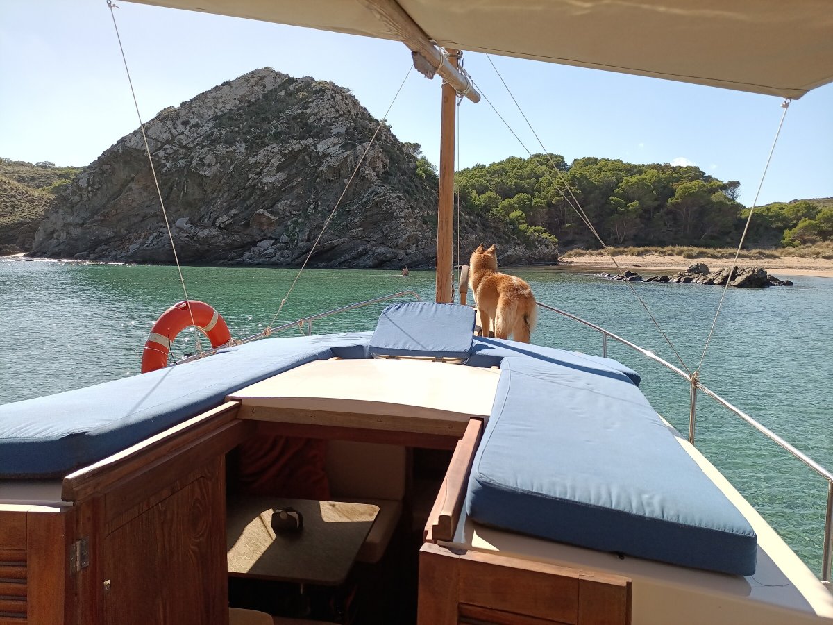 Motorboat - Capeador - 1 cabins