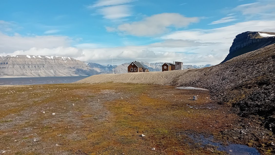Naviga e scopri Svalbard in un safari