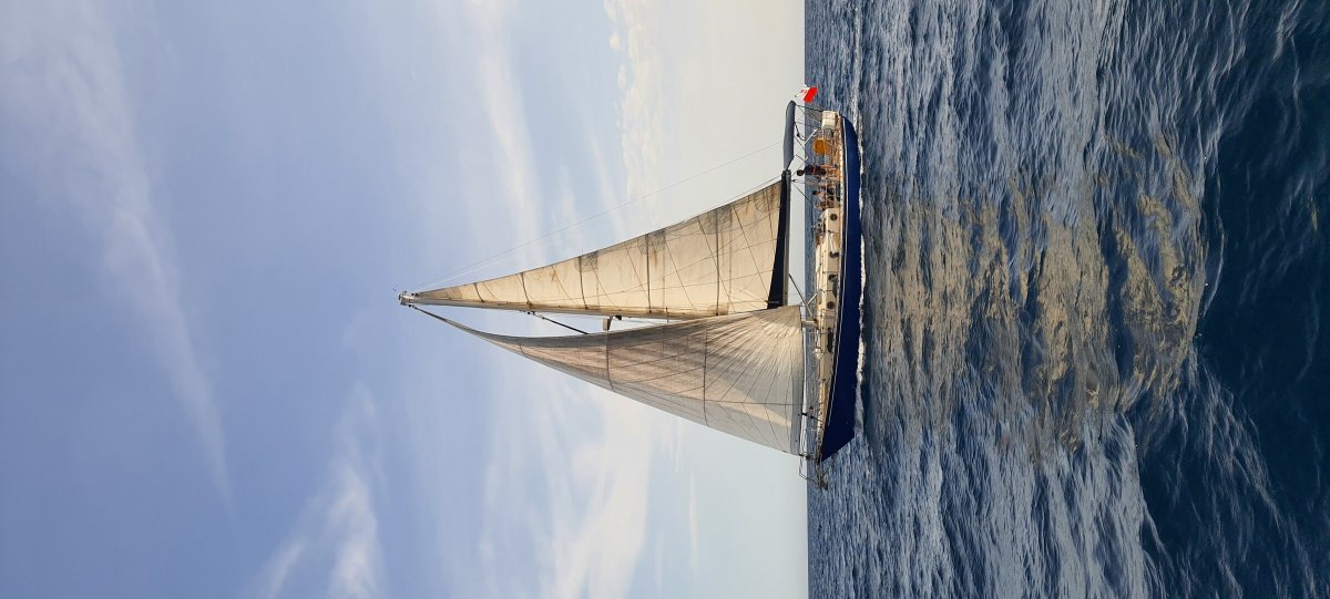 Zar Formenti - 8 personas