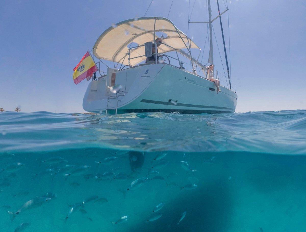 Tabarca sailing experience