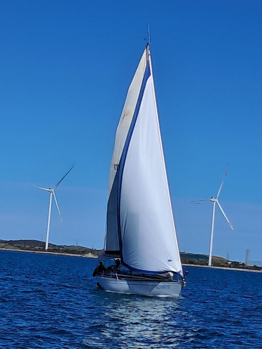 Naviga nel bellissimo mare blu dell'Isola d'Elba