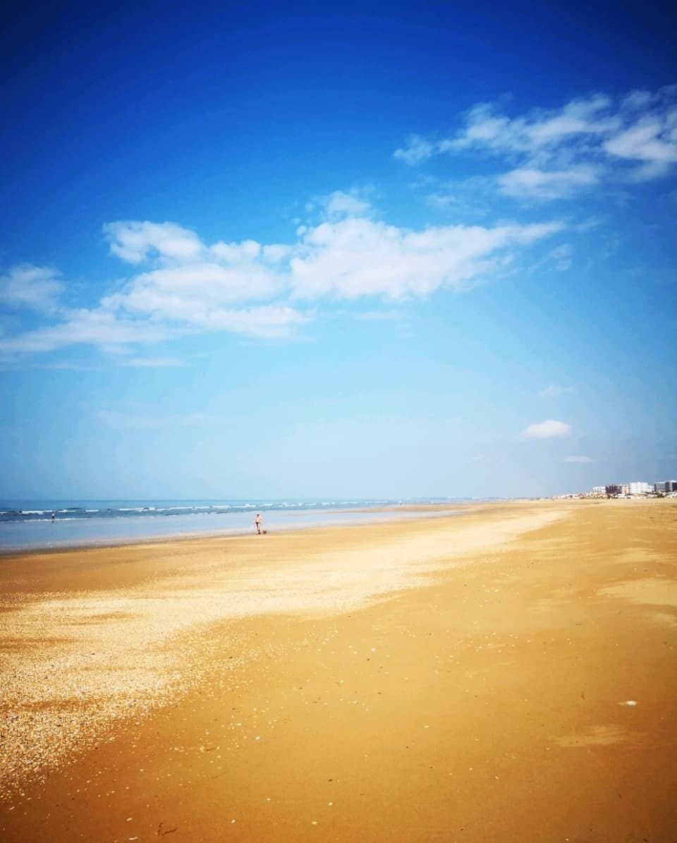 Yacht trips on the River Tinto