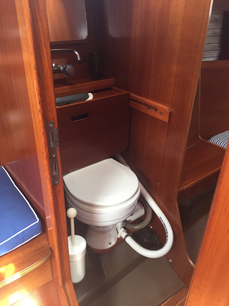 Osserva la fauna marina nell'Arcipelago Toscano